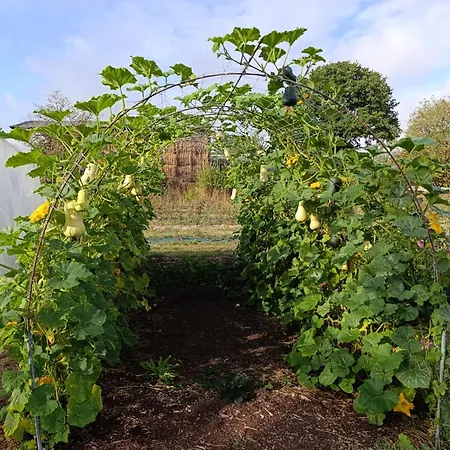 Agroturismo La Ferme Du Papillon