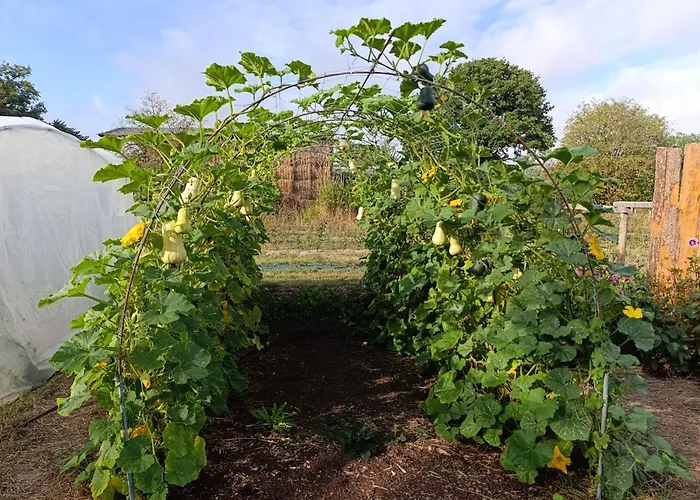 Agroturismo La Ferme Du Papillon