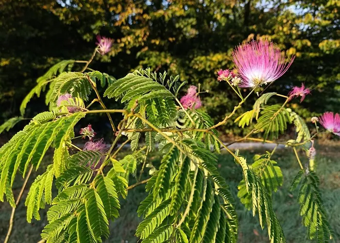 La Ferme Du Papillon Pougne-Herisson